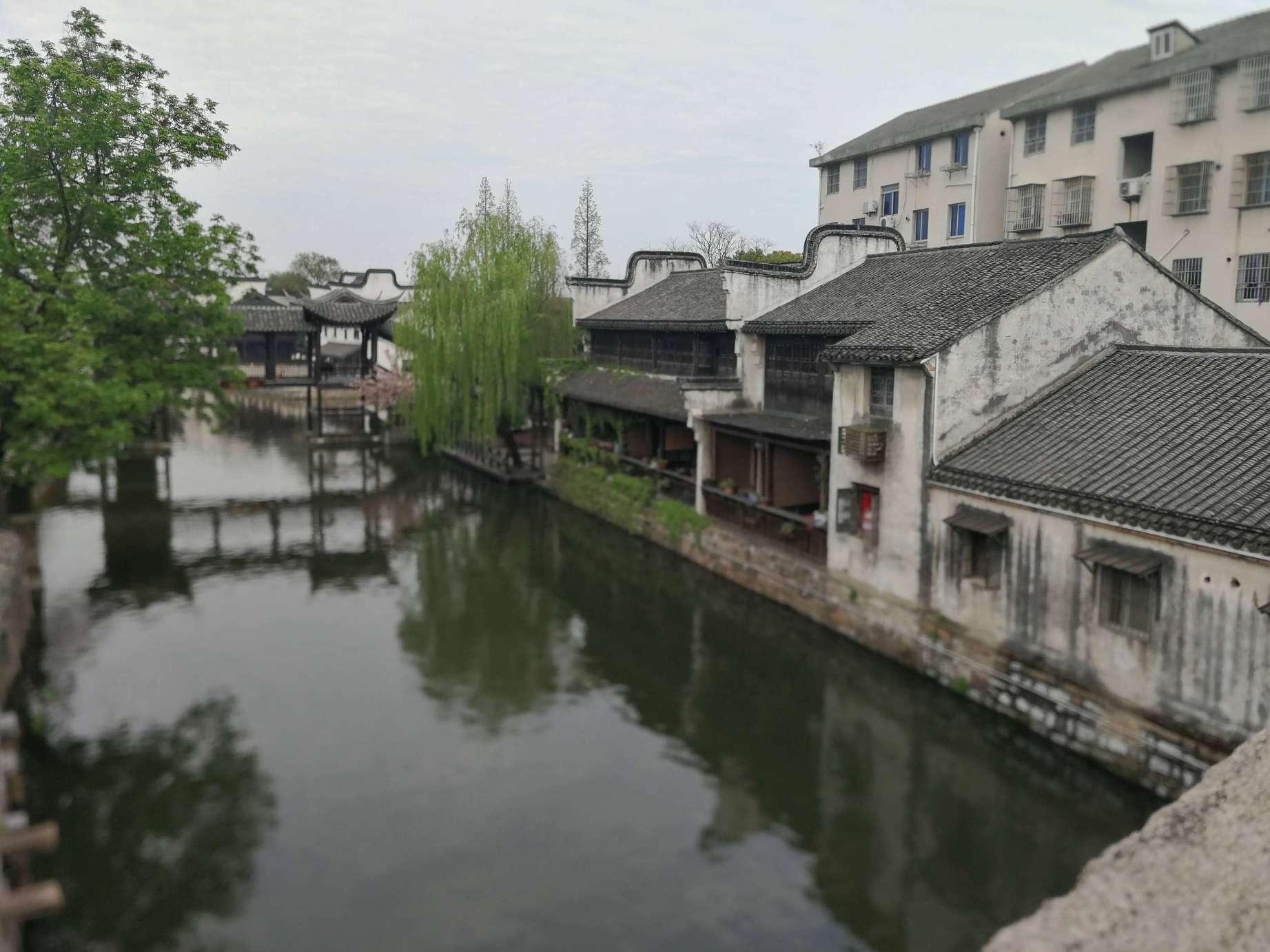 萌兔兔闯关