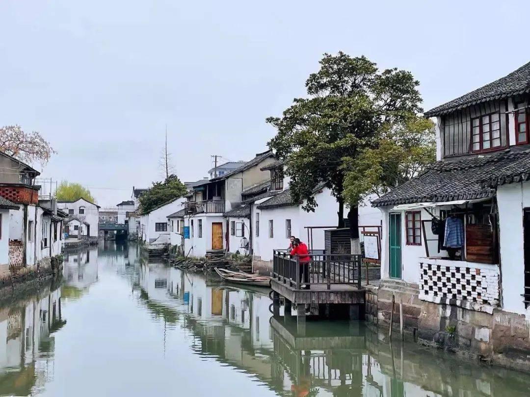 大米和香蕉能否一起吃？游戏画面