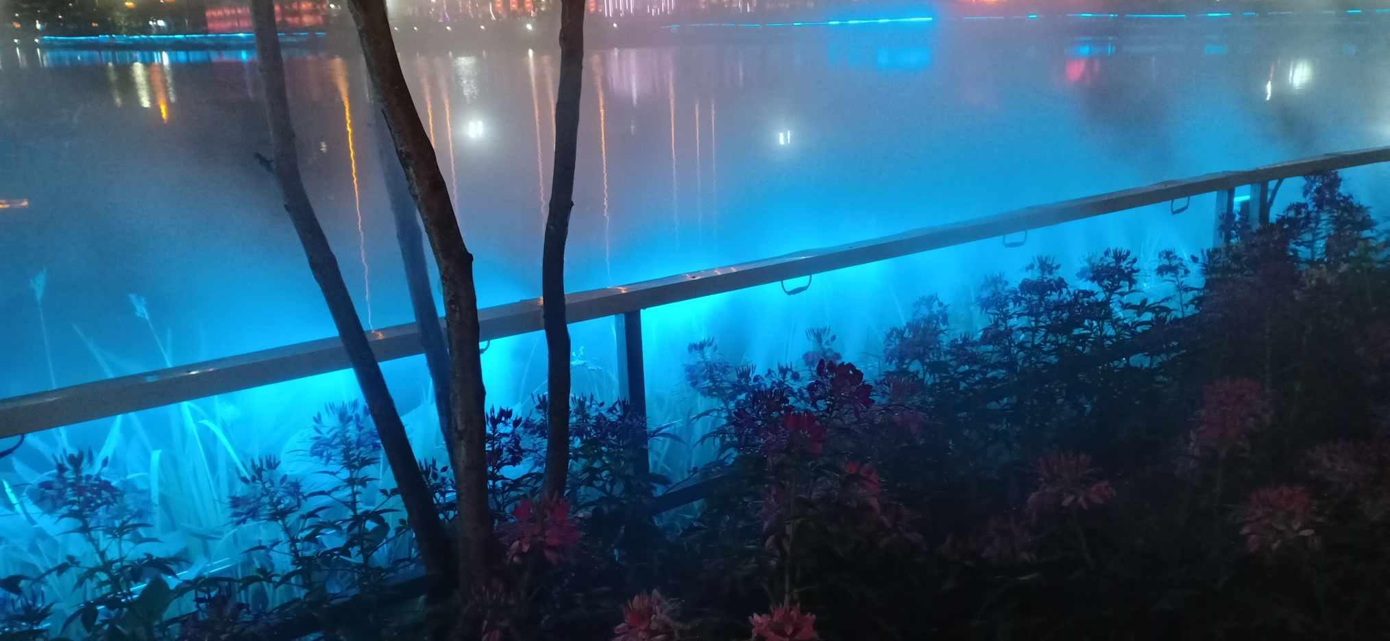 “最美死刑犯”任雪:死前主动张嘴,众人不理解,行刑人员却懂了